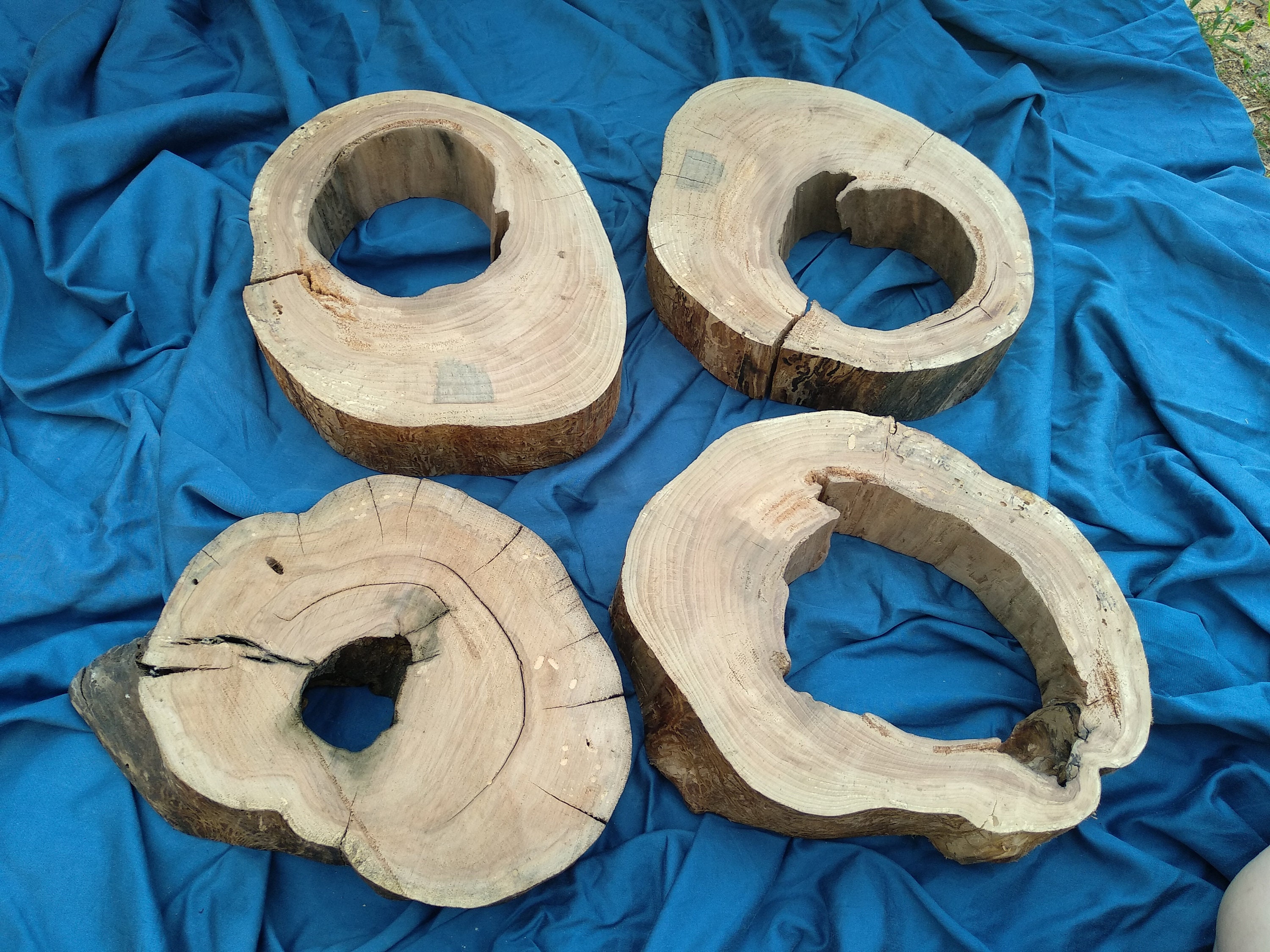 Apple Wood Slab Live Edge Slab Live Edge Slice Wood Live Etsy