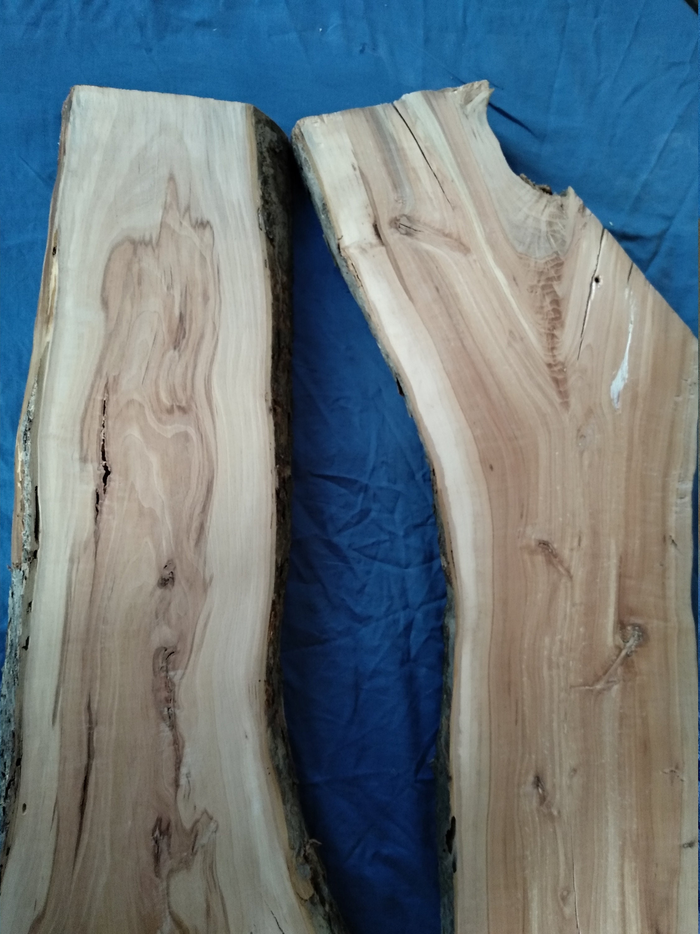 Live Edge Slab Raw Wood Slab Burl Wood Live Edge Wood Slab Etsy Canada