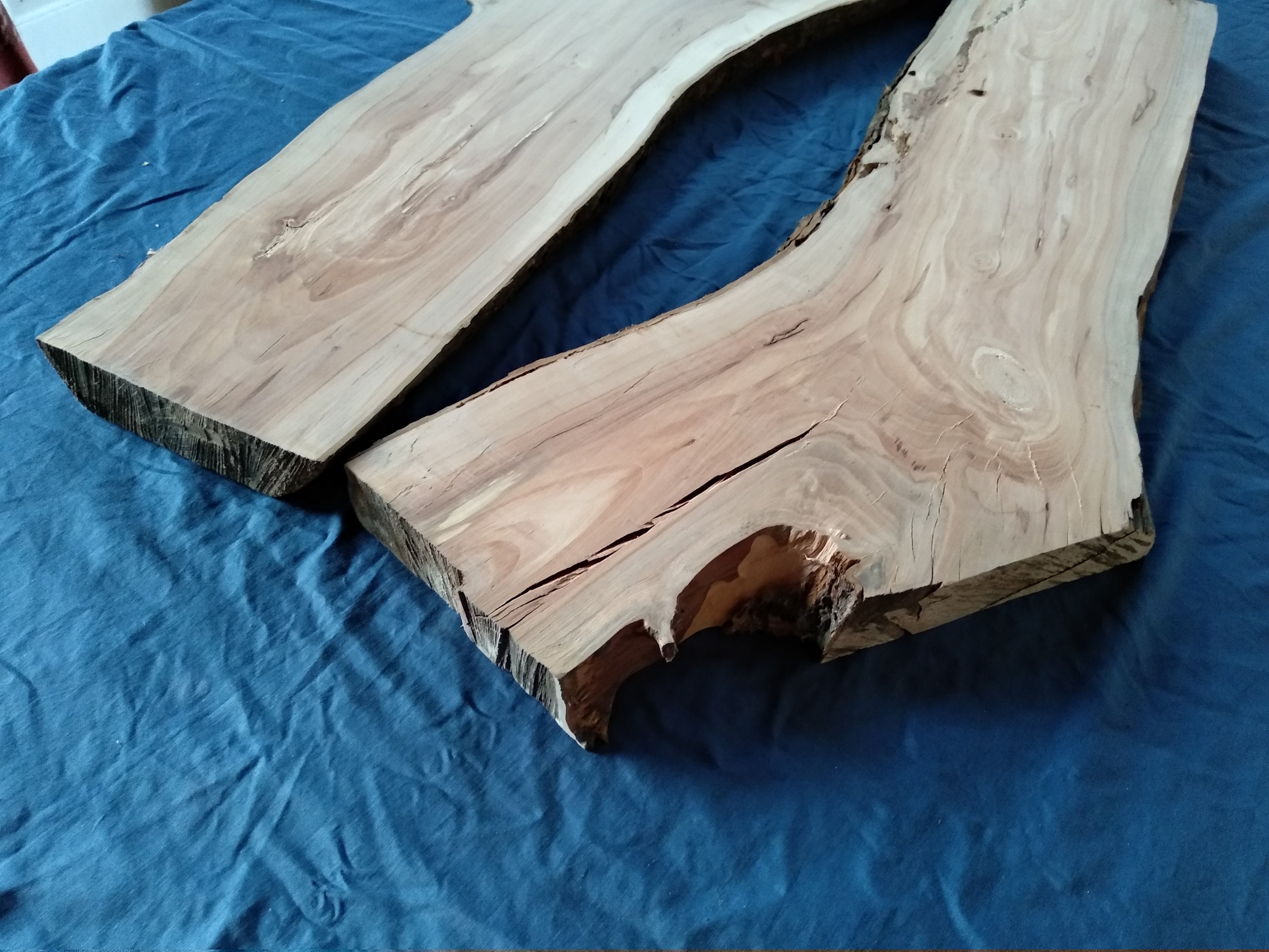 Apple Slab Live Edge Slab Rustic Wood Wooden Slabs Wood Etsy