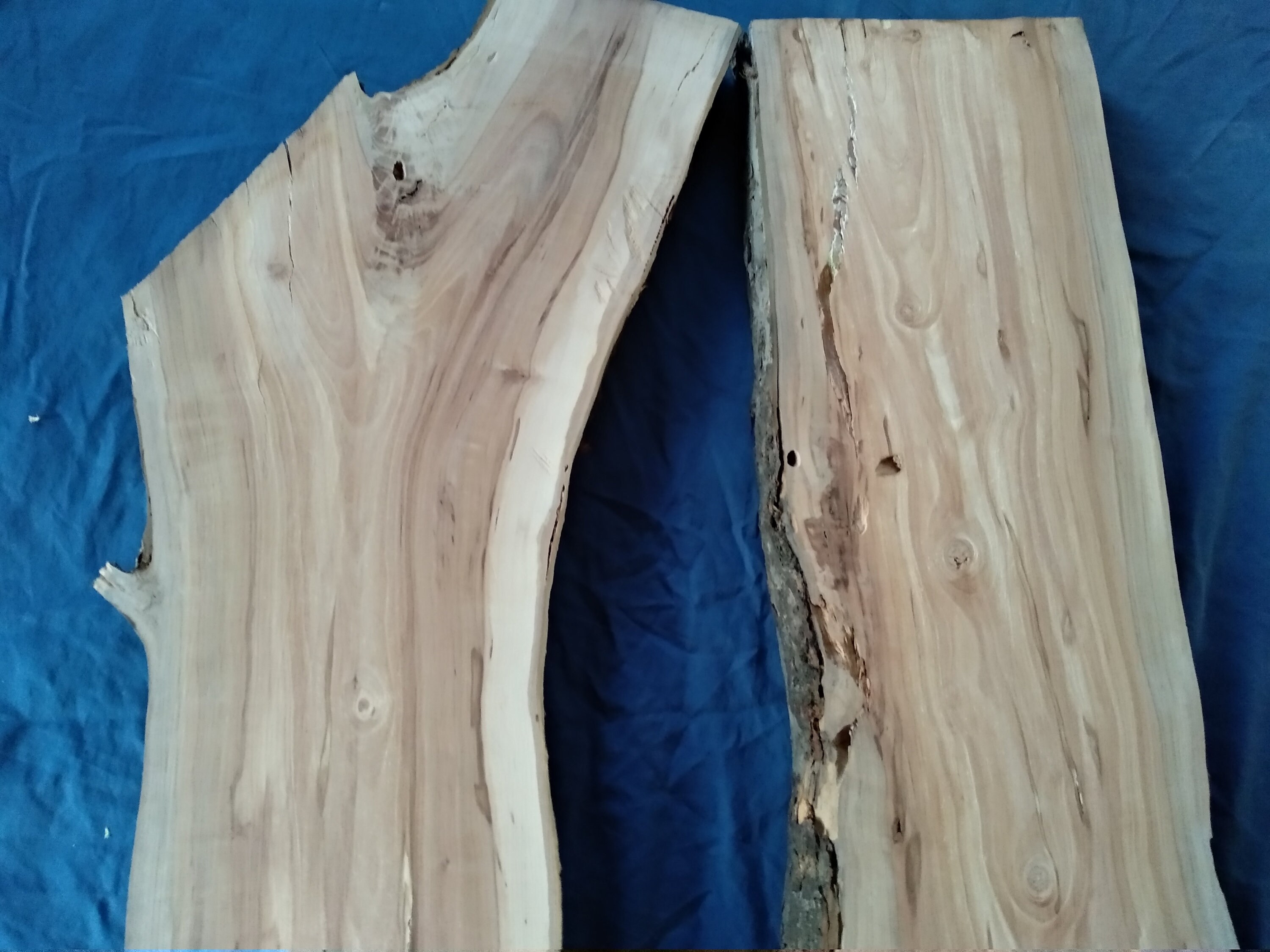 Live Edge Slab Raw Wood Slab Burl Wood Live Edge Wood Slab Etsy Canada