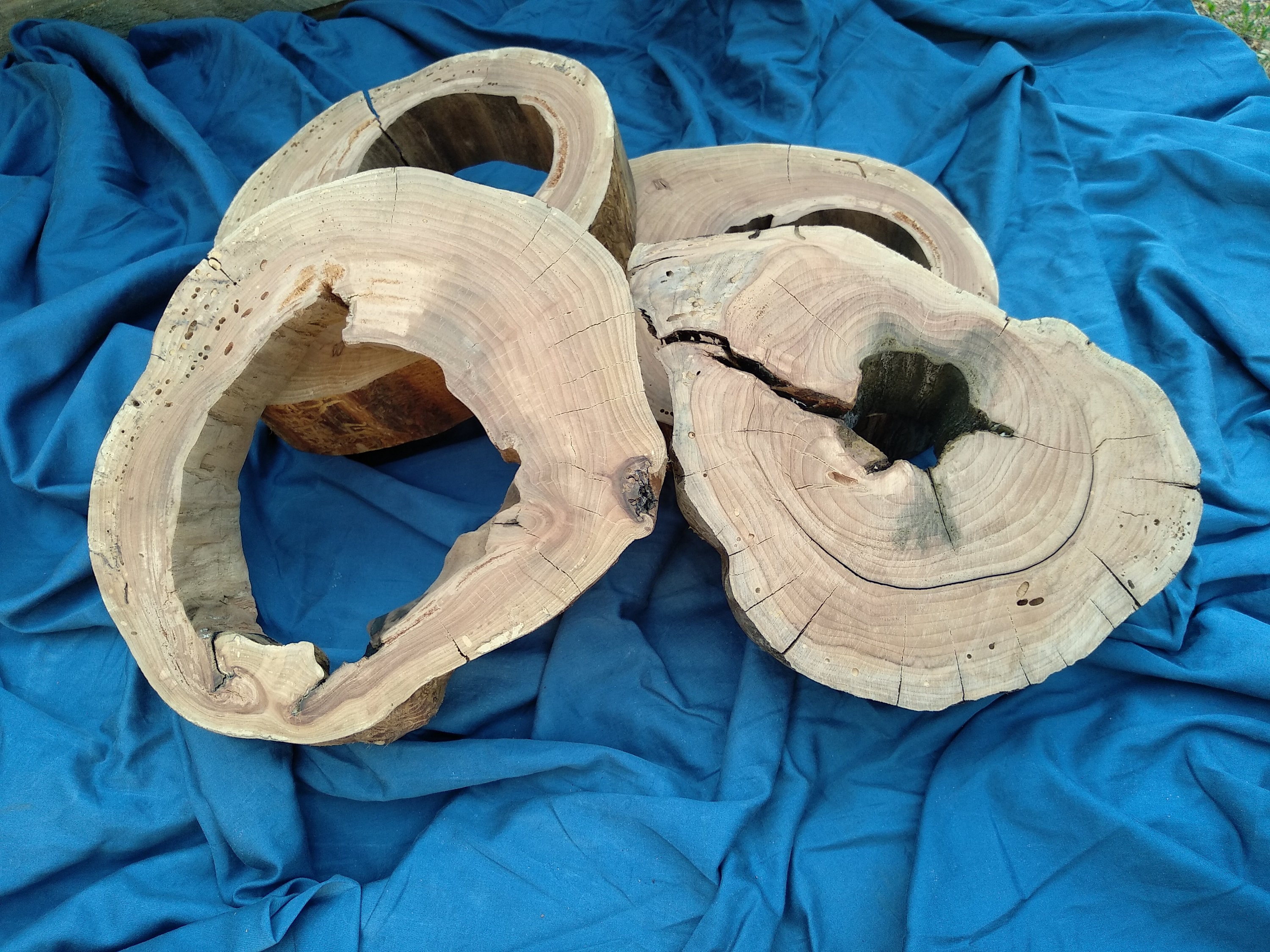 Apple Wood Slab Live Edge Slab Live Edge Slice Wood Live Etsy