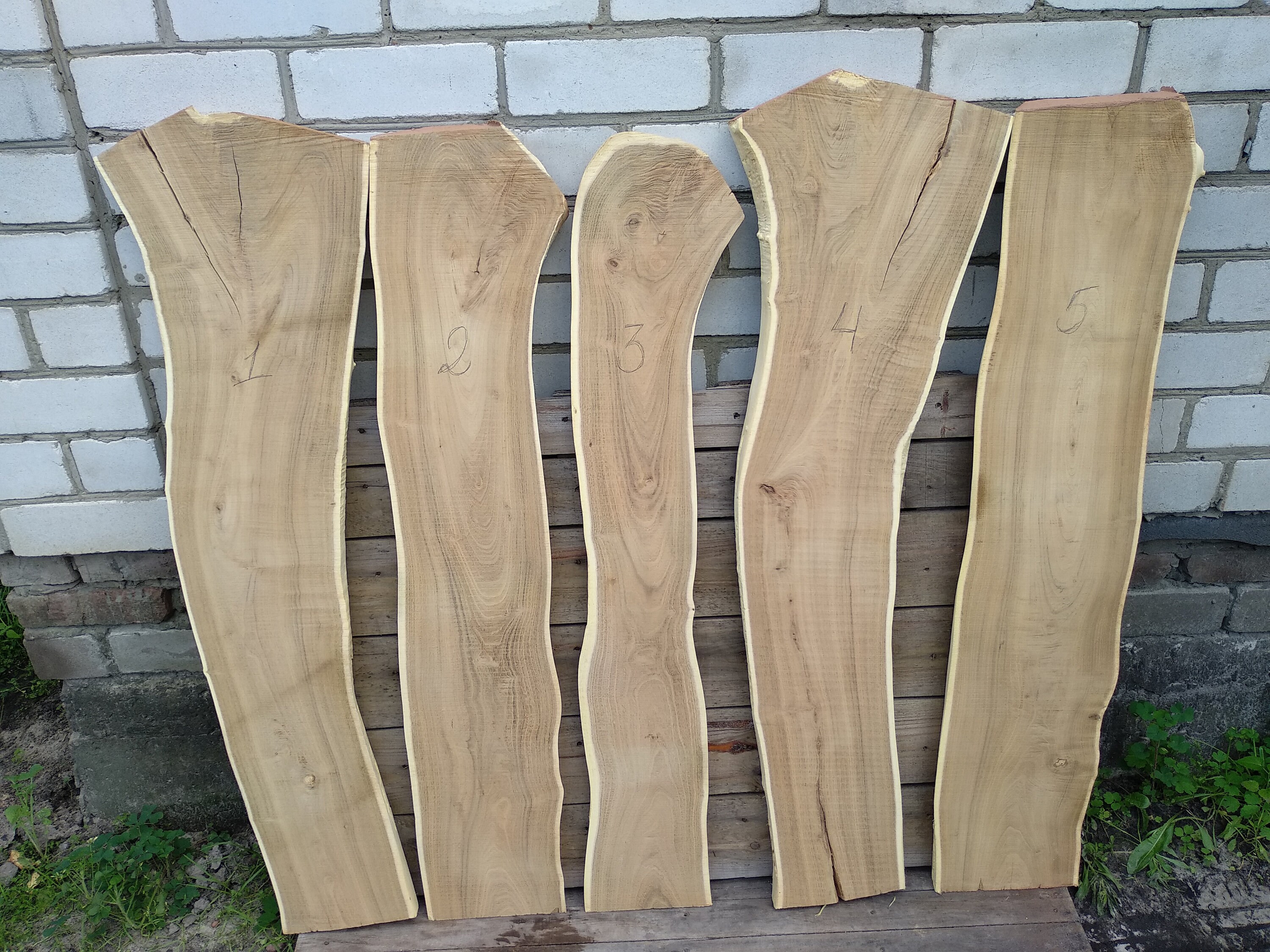 JUST Acacia Wood Slab Wood Live Edge Live Edge Slab Wood Etsy