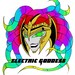 ElectricGoddessShop