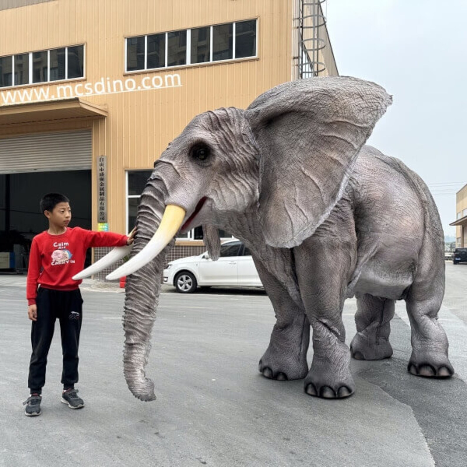 Adult Realistic Elephant Costumetwo Performers official  Etsy