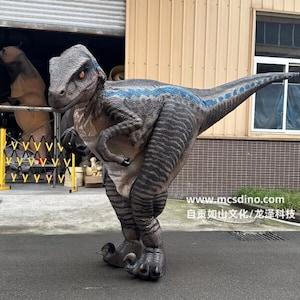 Raptor Blue Dinosaur Costume -MCSDINO