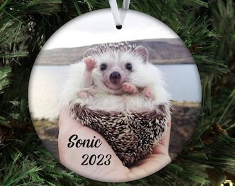 May include: Round Christmas ornament featuring a hedgehog with white and brown quills, held in a hand. The ornament has the text "Sonic 2023" and a white ribbon for hanging. The background shows a lake and mountains.