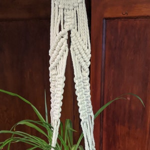 May include: A white macrame plant hanger with a brown pot and a green plant hanging from a hook on a wooden wall.