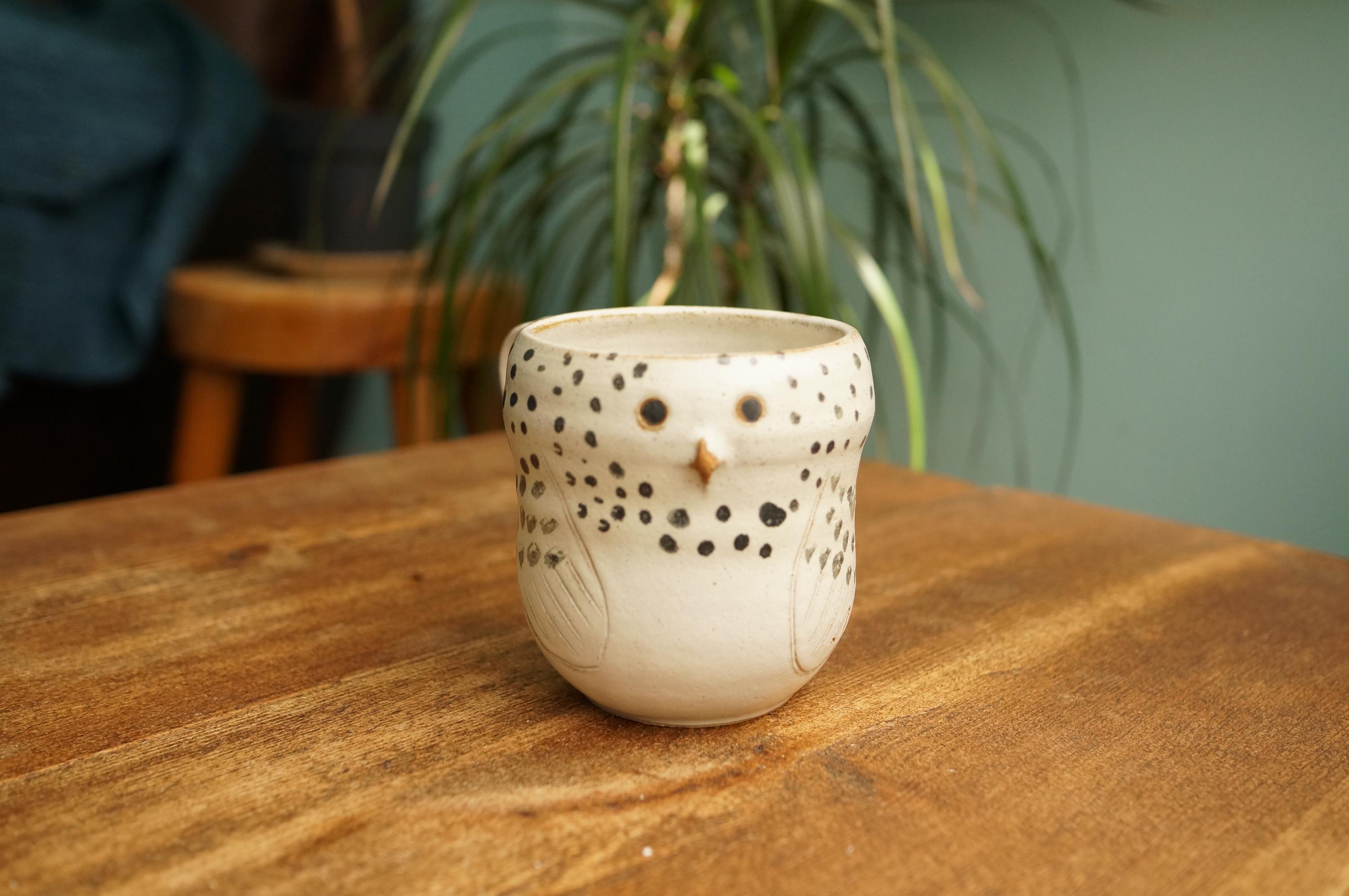 Ceramic Handmade Snowy Owl Mug ,Owl Tea Mug with handle,Pottery Mug,Handmade Ceramic Mug