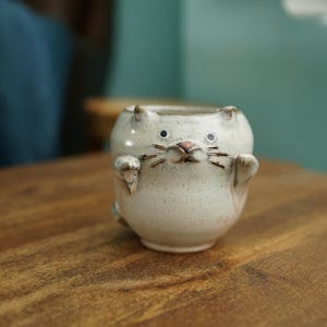 May include: A small, off-white ceramic cup shaped like a cat. The cup features a speckled glaze, two small ears at the top, painted black eyes, a pink nose, and dark brown whiskers. Two small paws are sculpted on the front of the rounded body.