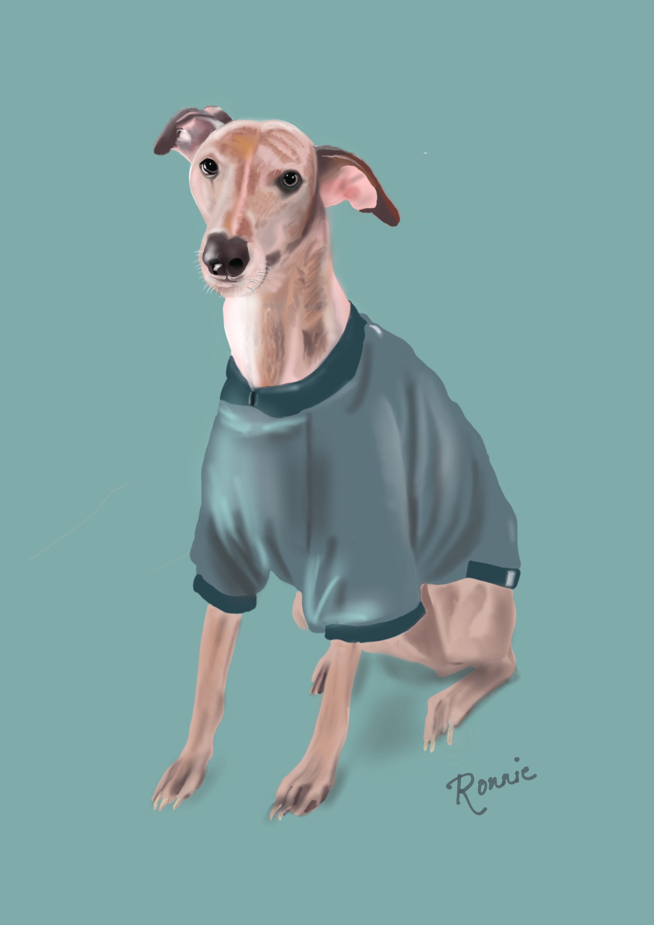 Pet Portrait / Draw My Pet / Pet Wall Art / Digital Art Print / Draw My