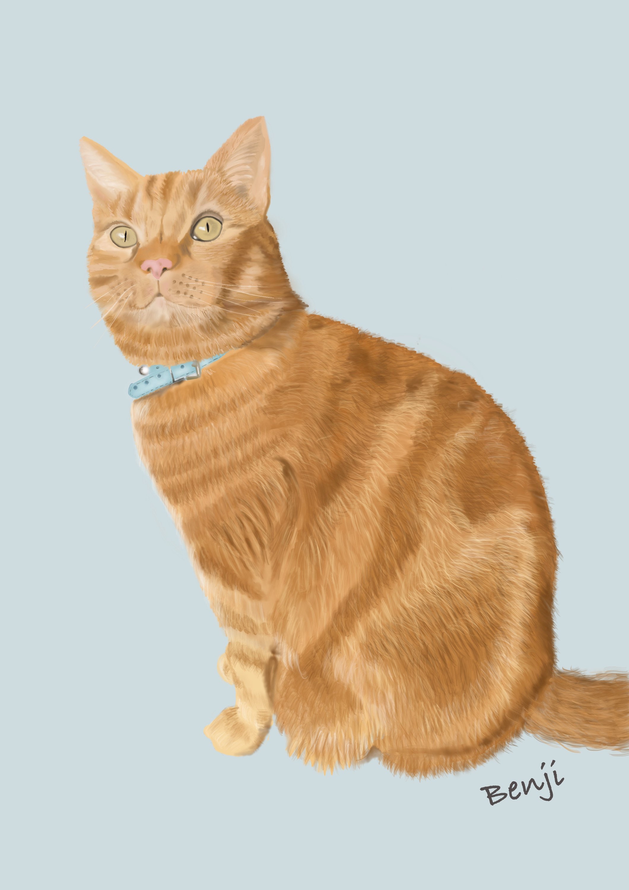 Pet Portrait / Draw My Pet / Pet Wall Art / Digital Art Print / Draw My