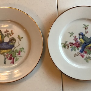 Vintage Hutschreuter German Porcelain Bird Plates