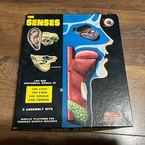 Vintage Renwal Products Inc The Senses Kit