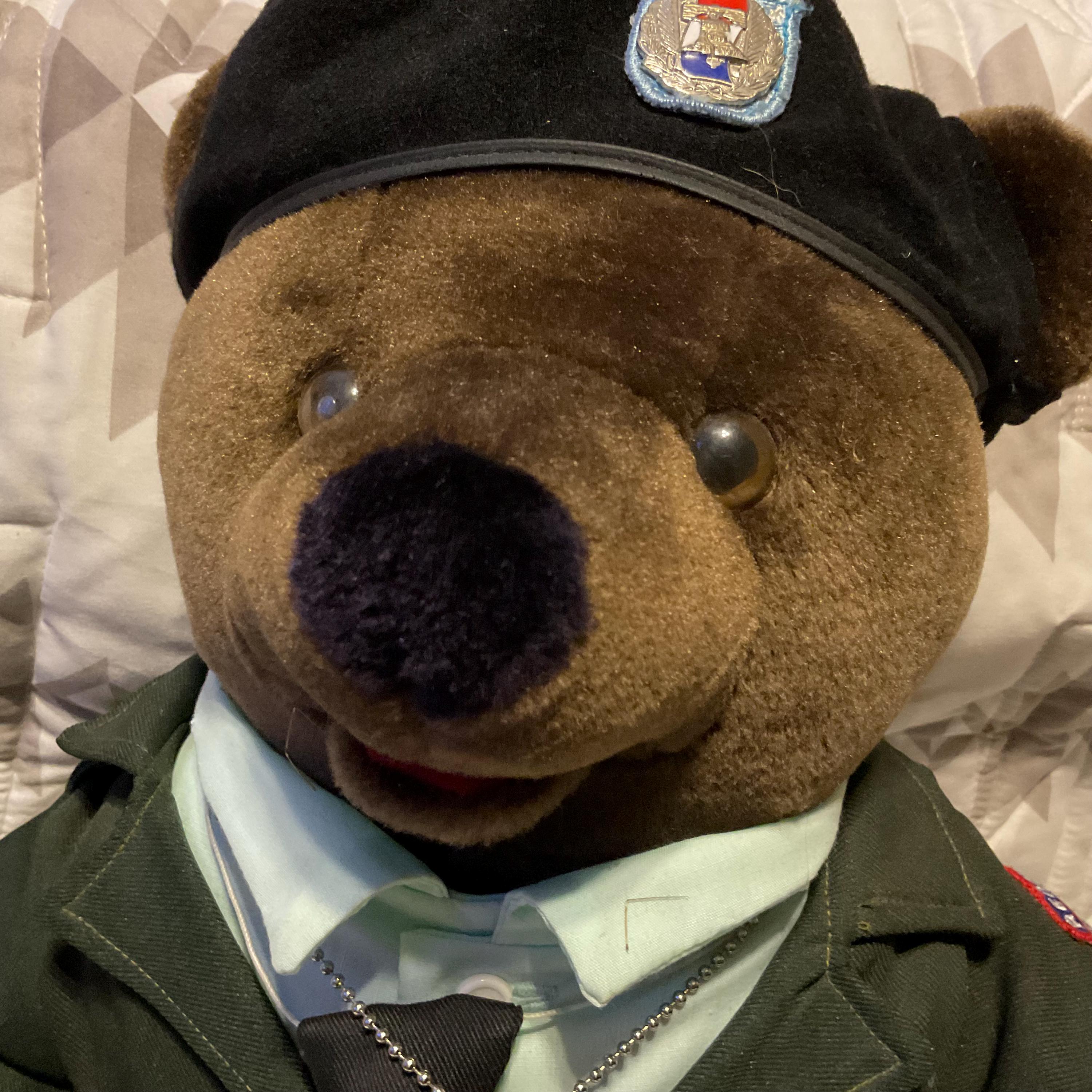 Vintage Bear Forces of America - Army Bear - 21” - Etsy