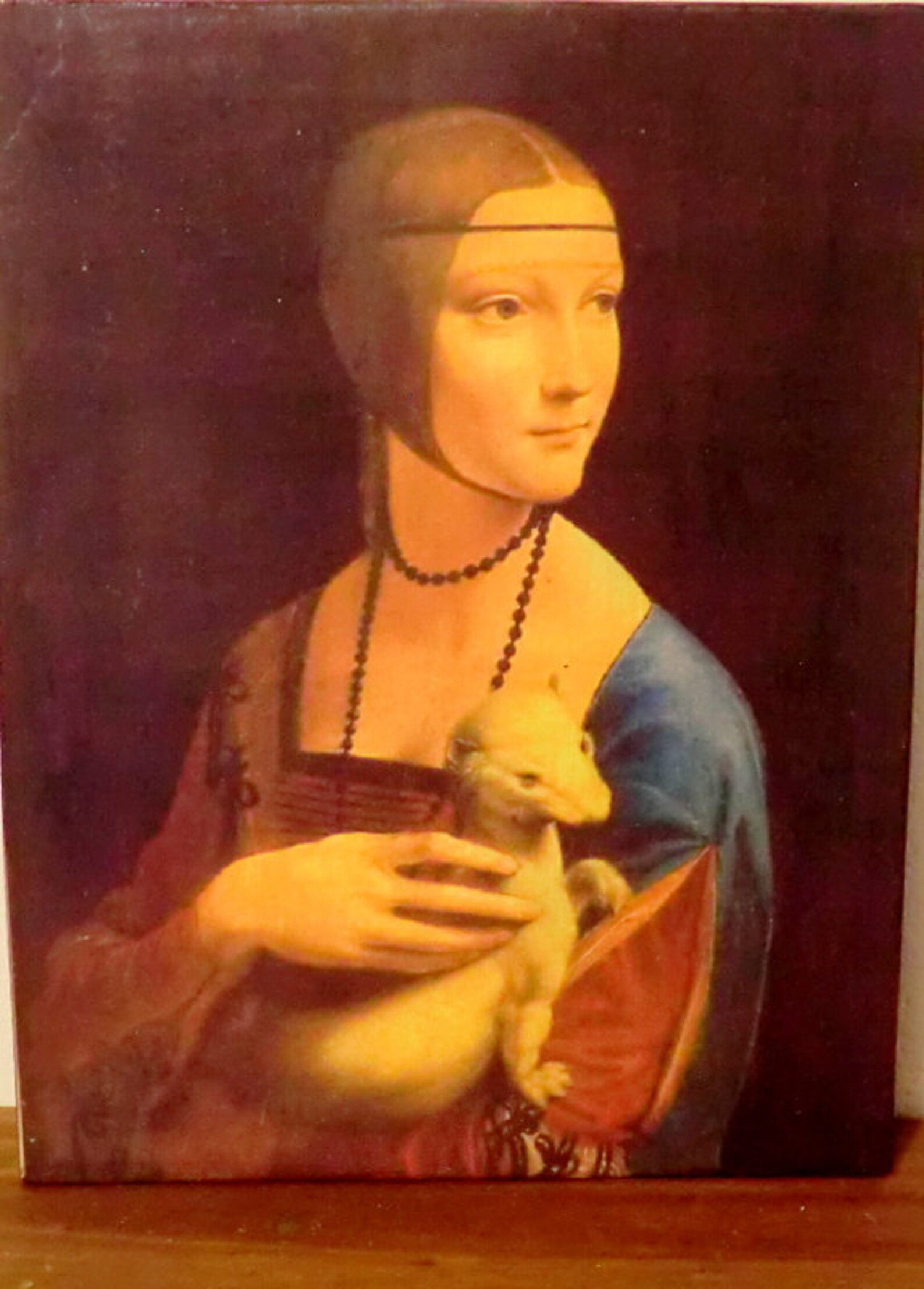 Leonardo DaVinci La Dame à l'hermine 14881490Impression d'art sur