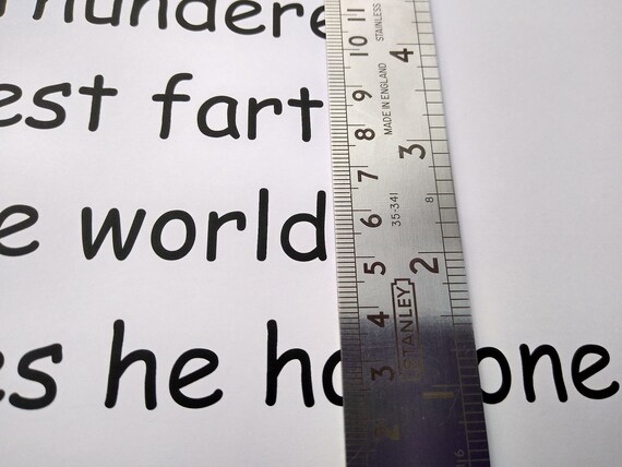 giant print and braille book scruffy breaks his cane etsy