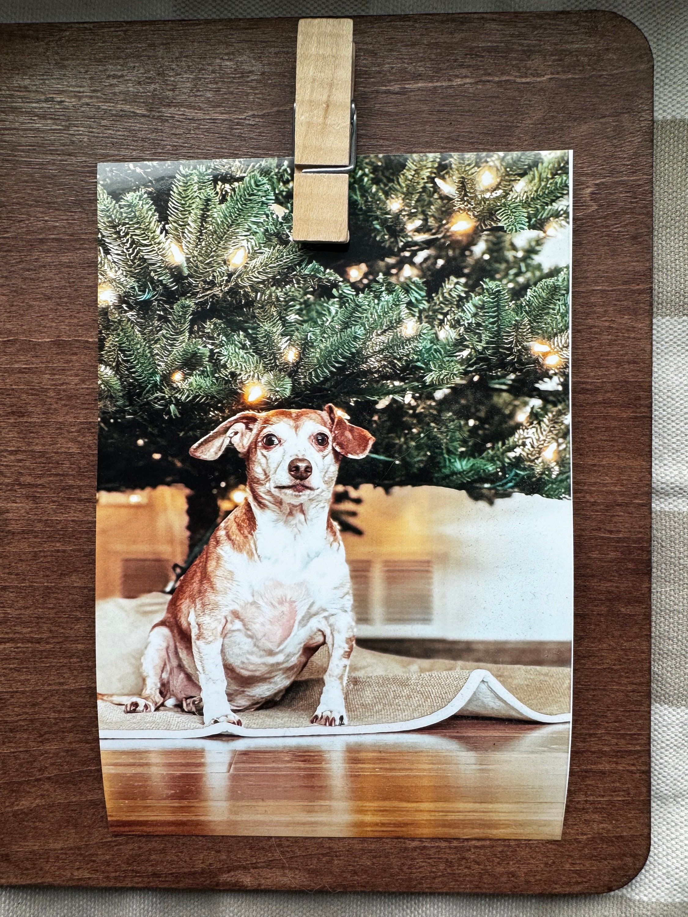 Personalized Wood Pet Memorial Plaque with Photo
