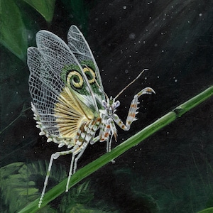 Spiny Flower Mantis Art Print: Glossy Giclée, Jessica Lowe Artwork