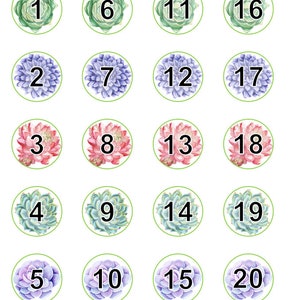 Succulent Calendar Set Digital Download, Calendar, School Calendar, Back to School, Classroom Calendar, Printable Calendar image 5