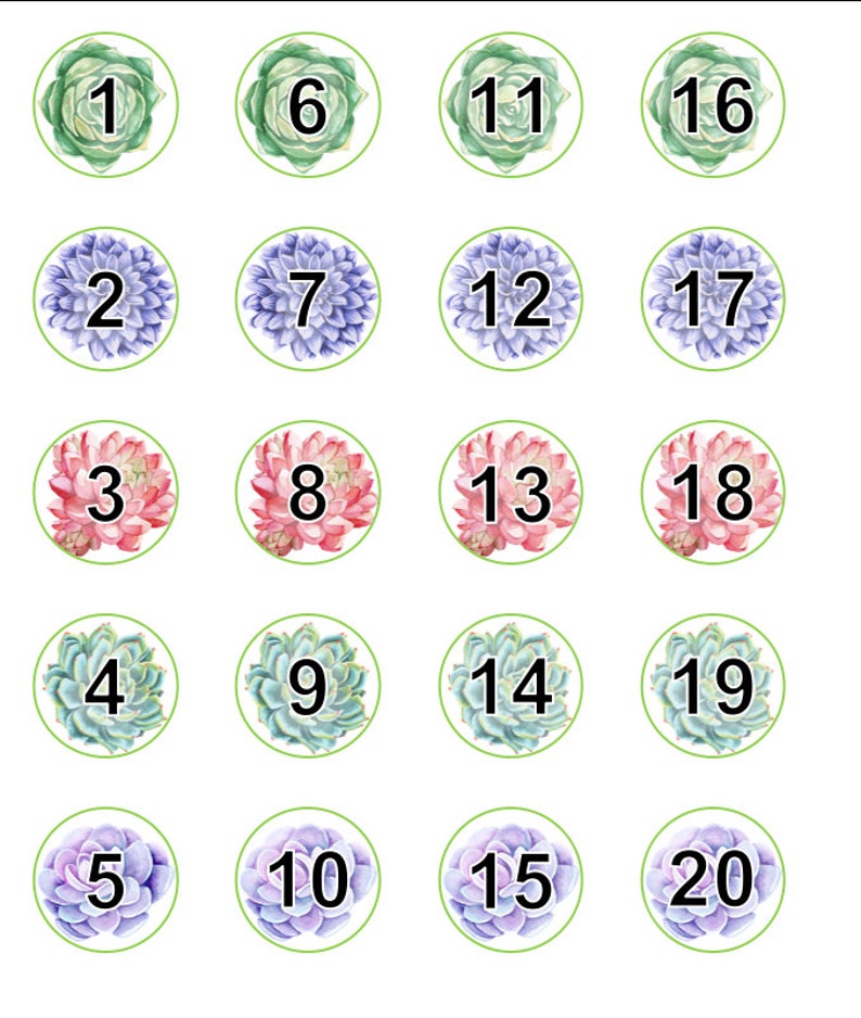 Succulent Calendar Set Digital Download, Calendar, School Calendar, Back to School, Classroom Calendar, Printable Calendar image 5