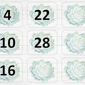 Succulent Calendar Set Digital Download, Calendar, School Calendar, Back to School, Classroom Calendar, Printable Calendar image 3