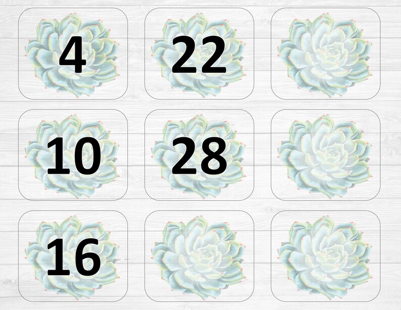 Succulent Calendar Set Digital Download, Calendar, School Calendar, Back to School, Classroom Calendar, Printable Calendar image 3