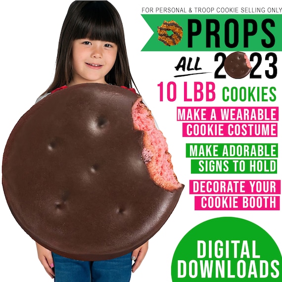 Girl Scout Cookie Box Costume
