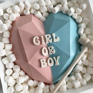 Baby Announcement / Gender Reveal/Breakable Chocolate Heart / Baby Gift / Smash Heart  / Smashable Gift with Hammer New Baby Gift Gift