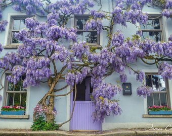 tiffany wisteria High End Quality 19.6inches Wisteria Tiffany Style Stained