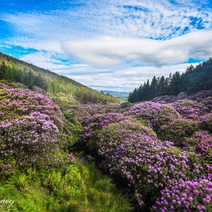 The Vee (Tipperary)