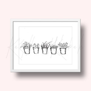 Potted Succulent Cacti Sketch