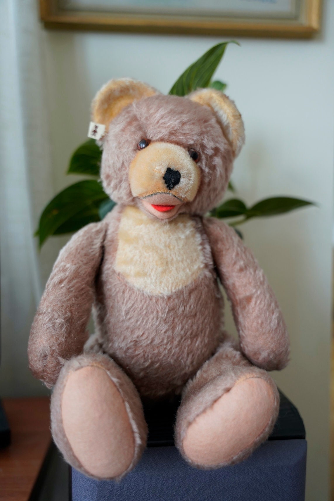 Ancienne Peluche / Doudou - Années 1950/1960 - Europe - Ourson Vintage