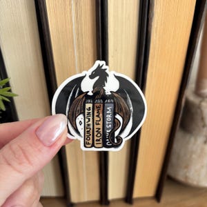 Onyx Storm Sticker | Fourth Wing Sticker | Dragon Fantasy Sticker | Fantasy Bookish Stickers | Bookish Kindle Sticker | Booktok | Romantacy