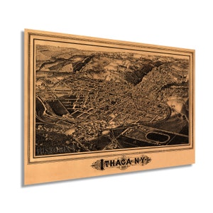 May include: A vintage black and white illustration of Ithaca, New York, from 1893. The illustration shows a bird's-eye view of the city, with buildings, streets, and trees.