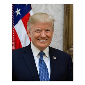 Donald Trump 45th President of the United States Official Portrait Photo Print Poster
