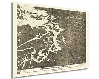 1891 Puget Sound Map - Old Puget Sound Wall Map - Bird's Eye View History Map of Puget Sound Washington Wall Art Poster