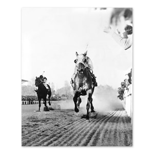 8x10 1938 Seabiscuit vs War Admiral PHOTO Poster Horse Race Racing Epic  Battle