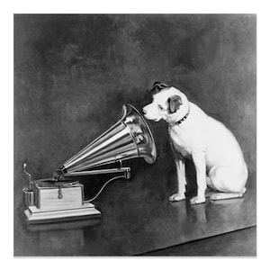 1898 Nipper the Dog Photo Print - Vintage Dog Poster Wall Art Looking at and Listening to a Phonograph by Francis Berraud