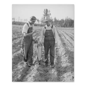 tobacco planters Tobacco Planter