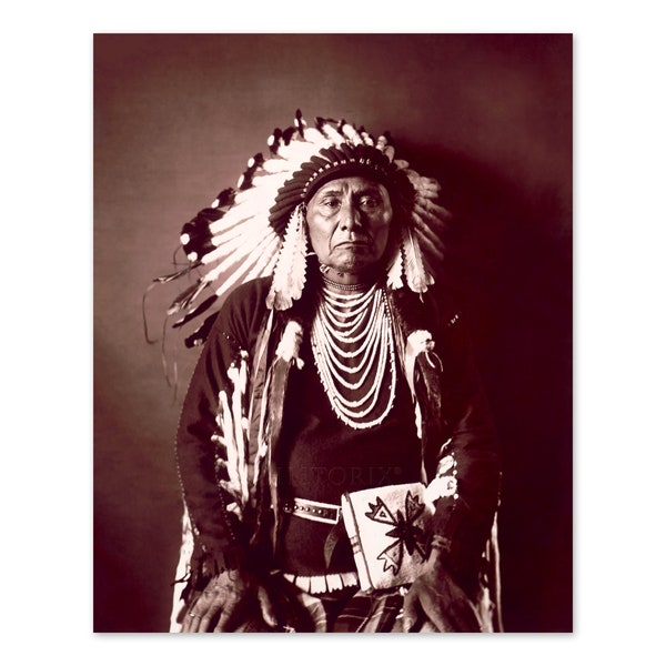 HISTORIX Vintage 1900 Chief Joseph Photo Print - Old Photo of Hin-Mah-Too-Yah-Lat-Kekt Nez Perce Chief in Traditional Dress Wall Art Poster