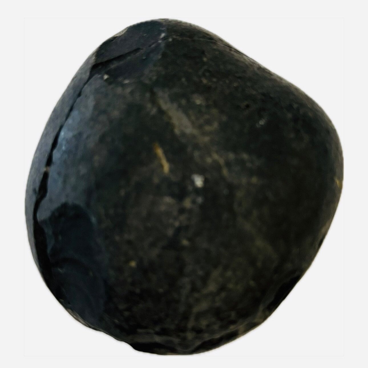 エベレスト地域のアンモナイトの化石 - Etsy 日本