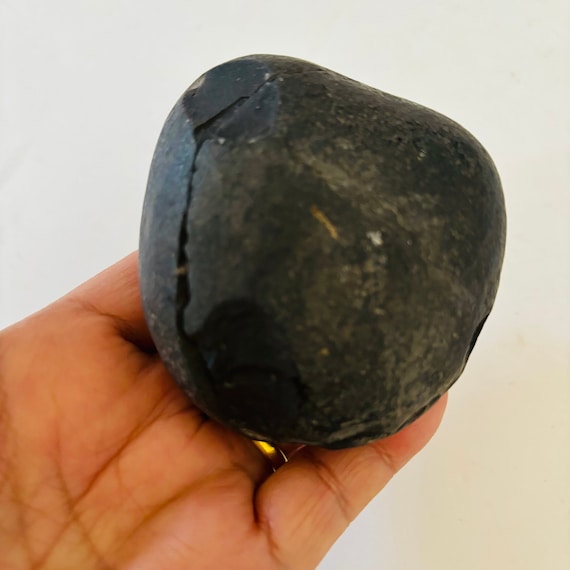 エベレスト地域のアンモナイトの化石 - Etsy 日本