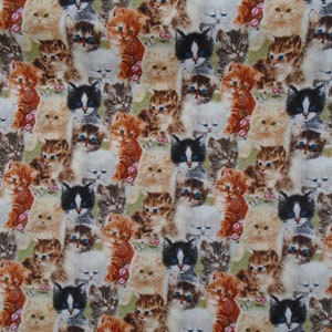 Curious Kitties, quality cotton kitten print of various lifelike, so sweet kitties on a soft avocado green background, fabric by the yard