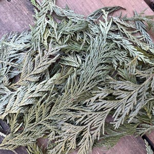 Dried Northern Red Cedar