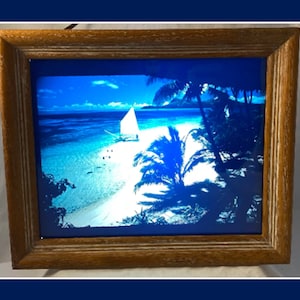 Illuminated Picture Box, South Pacific Island and Tropical Fish Transparancies, Backlit Color Negative in Wood Frame by Vuete Illuminator