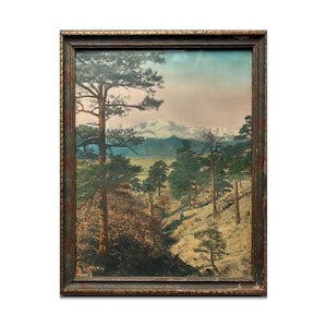 Puede incluir: Pintura de paisaje enmarcada, que representa una cordillera, un valle y árboles. La obra de arte está enmarcada en un marco de madera marrón. La escena muestra un paisaje natural con varios árboles y un cielo nublado.