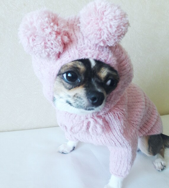 teacup chihuahua clothes