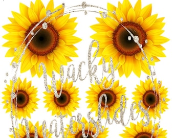 Free Free 297 Sunflower Waterslide Svg SVG PNG EPS DXF File
