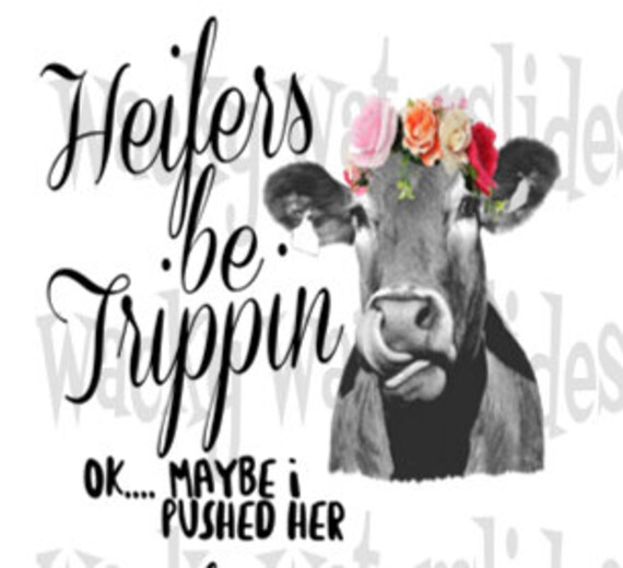 Heifers Be Trippin' Waterslide for 