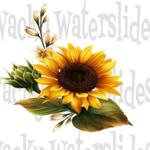 PRINTED - Waterslide Decal, Sunflower Waterslide for Tumblers, Popular Waterslide,  White Waterslides, Flower Waterslides, Sunflower Decals